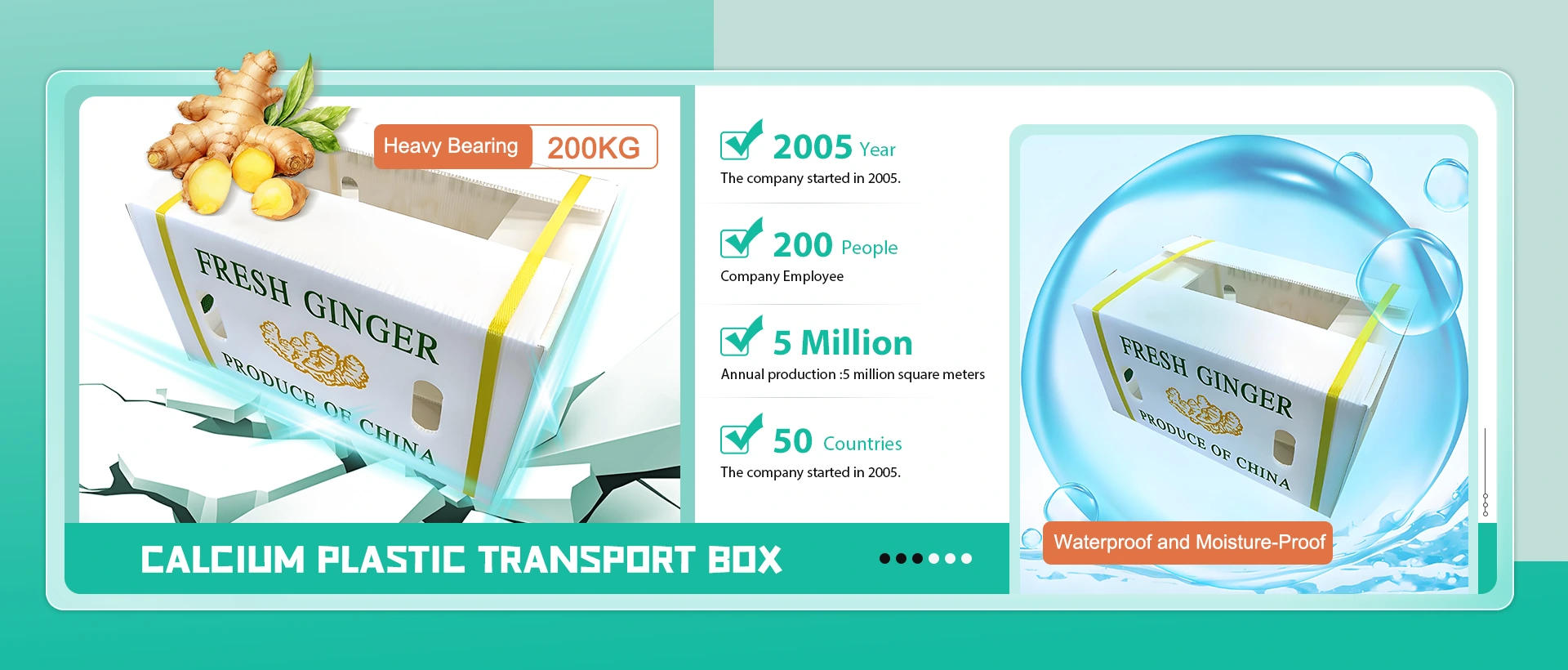 చైనా కాల్షియం ప్లాస్టిక్ రవాణా పెట్టె తయారీదారు