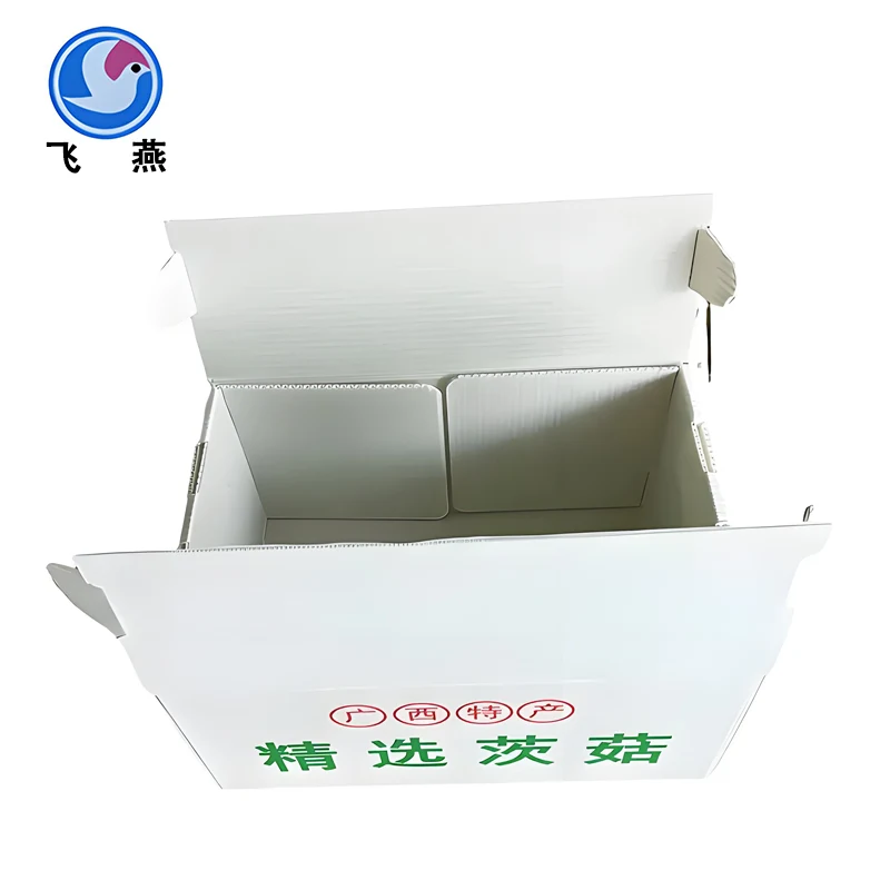 Mushroom Packaging Box